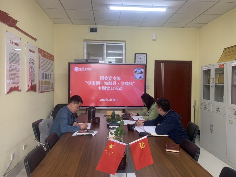 团委党支部开展“学条例·知敬畏...